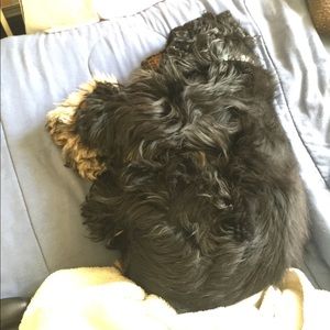 Meet your Posher, Mary